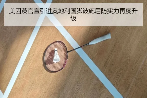 美因茨官宣引进奥地利国脚波施后防实力再度升级